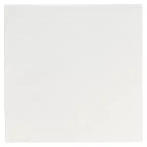 Guardanapos 'double point' 18 g/m2 20x20 cm branco tissue (2400 unidade)