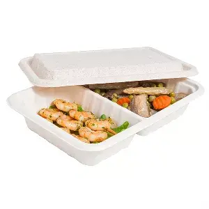 Vassoi 2 scomparti + coperchio 'bionic' 800 ml 23,3x14,6x6 cm naturale bagassa (400 unità)