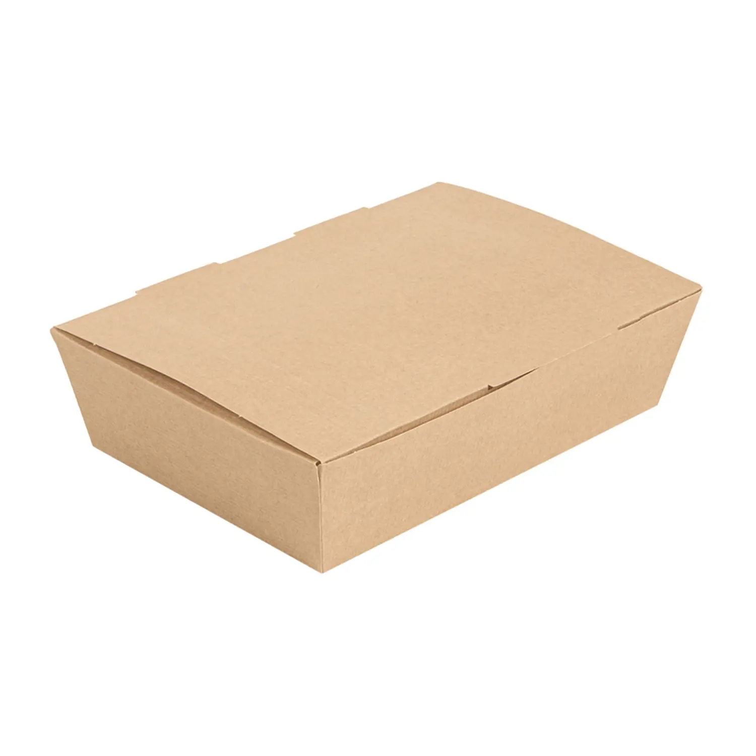 Caixas "lunch box" tampas 'thepack' 1000 ml (32 oz) 20,5x14,6x5 cm natural cartão nano-micro (360 unidade)
