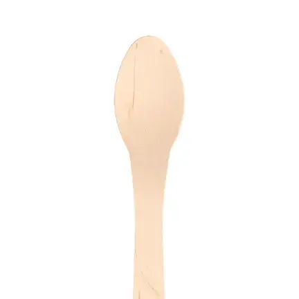 biodegradable spoons